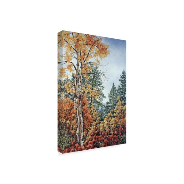 Carol J Rupp 'Autumn Splendor In Tree' Canvas Art,30x47